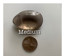 Load image into Gallery viewer, Smoky Quartz Palm Stones