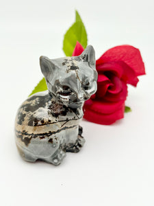 Picture Jasper Cat