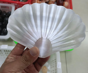 Selenite Shell