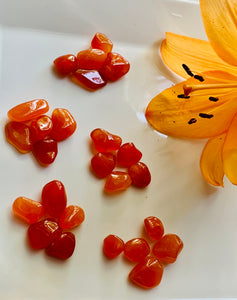 Tumbled Carnelian mini’s (5)pieces